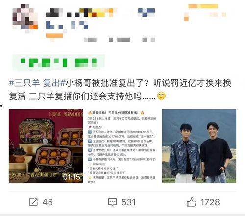 三只羊最新消息爆料,揭秘幕后故事与精彩瞬间